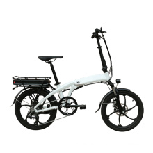 Comfort Folding Bike 36V250W Rear Motor Electric Bicycle